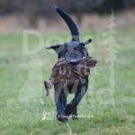 M20-3-28-26 1 – Flash