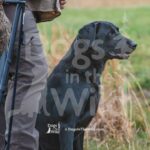 M20-3-28-26 2 – Flash