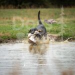 M20-3-28-26 5 – Flash