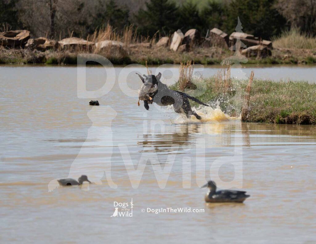 M23-3-28-26 2 – Homer