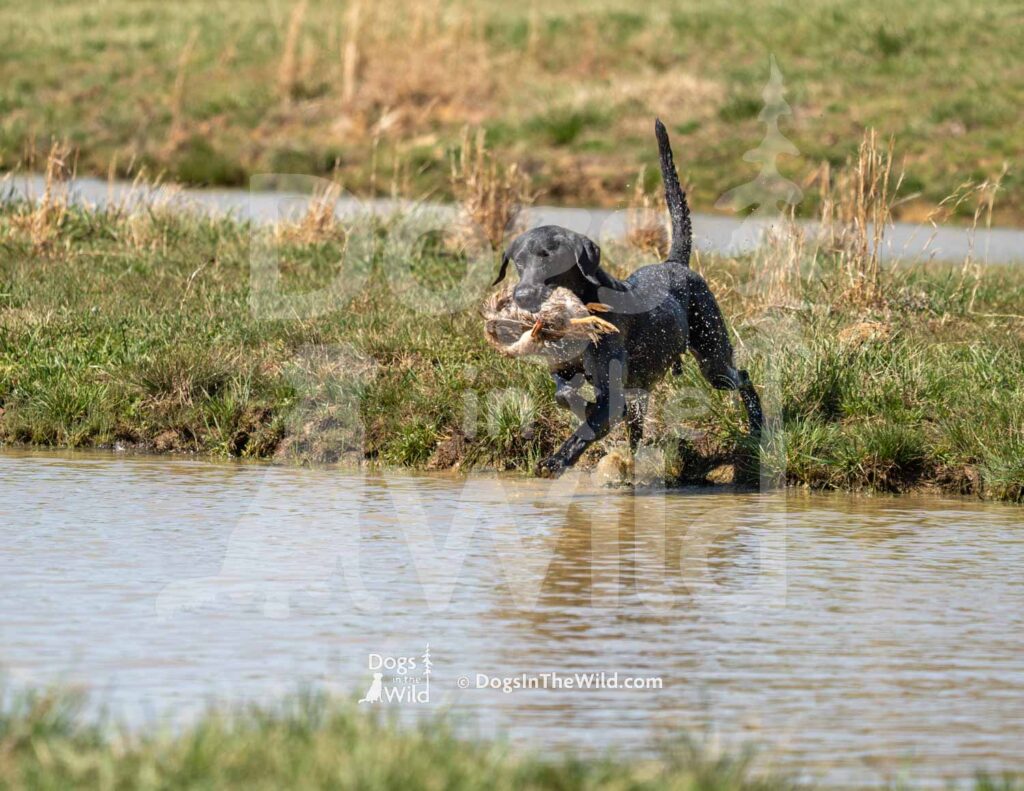 M24-3-28-26 2 – Rip