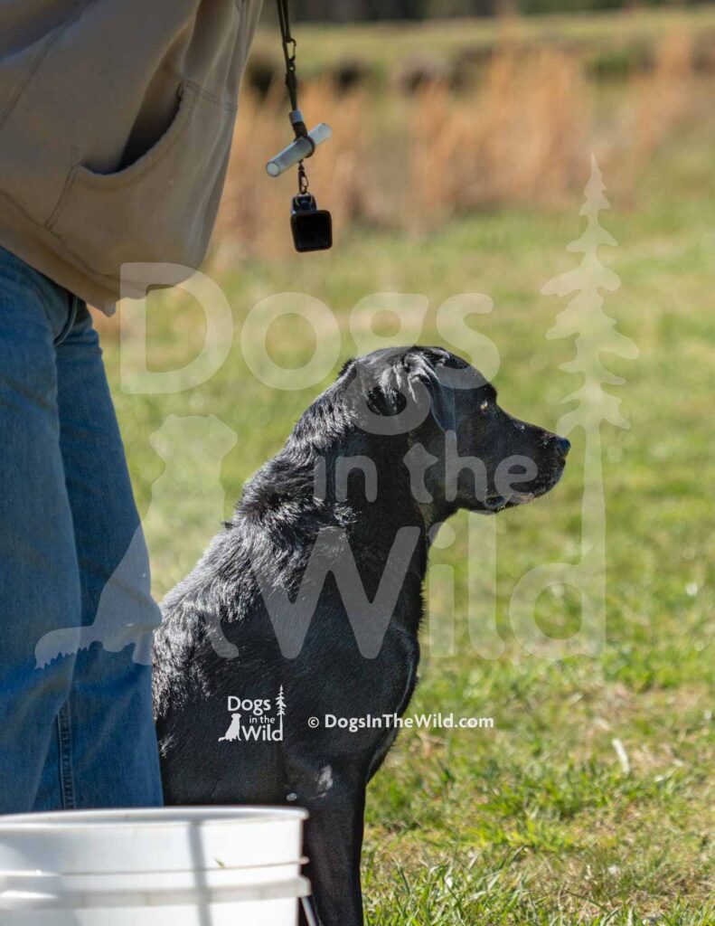 M25-3-28-26 2 – Dude