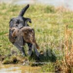 M25-3-28-26 5 – Dude
