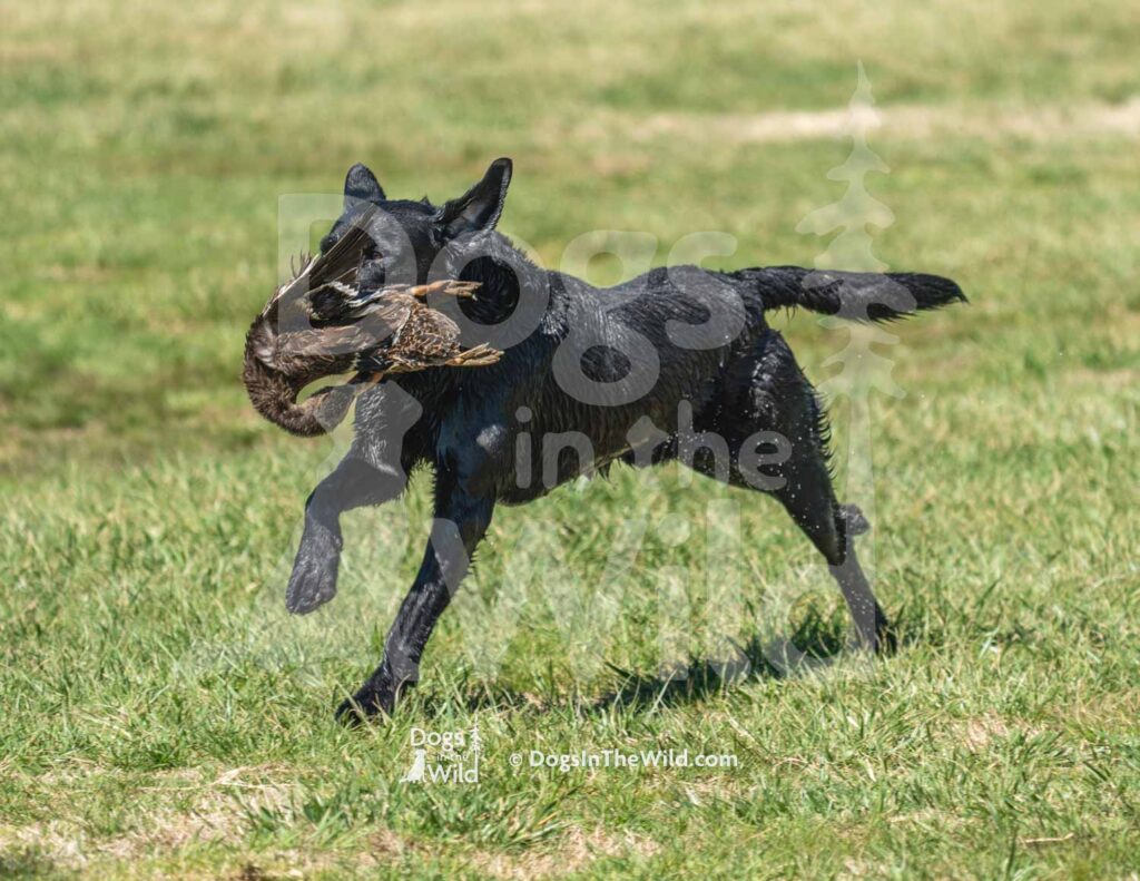 M25-3-28-26 6 – Dude