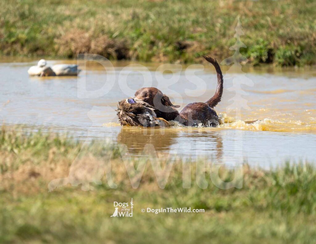 M29-3-28-26 3 – Echo