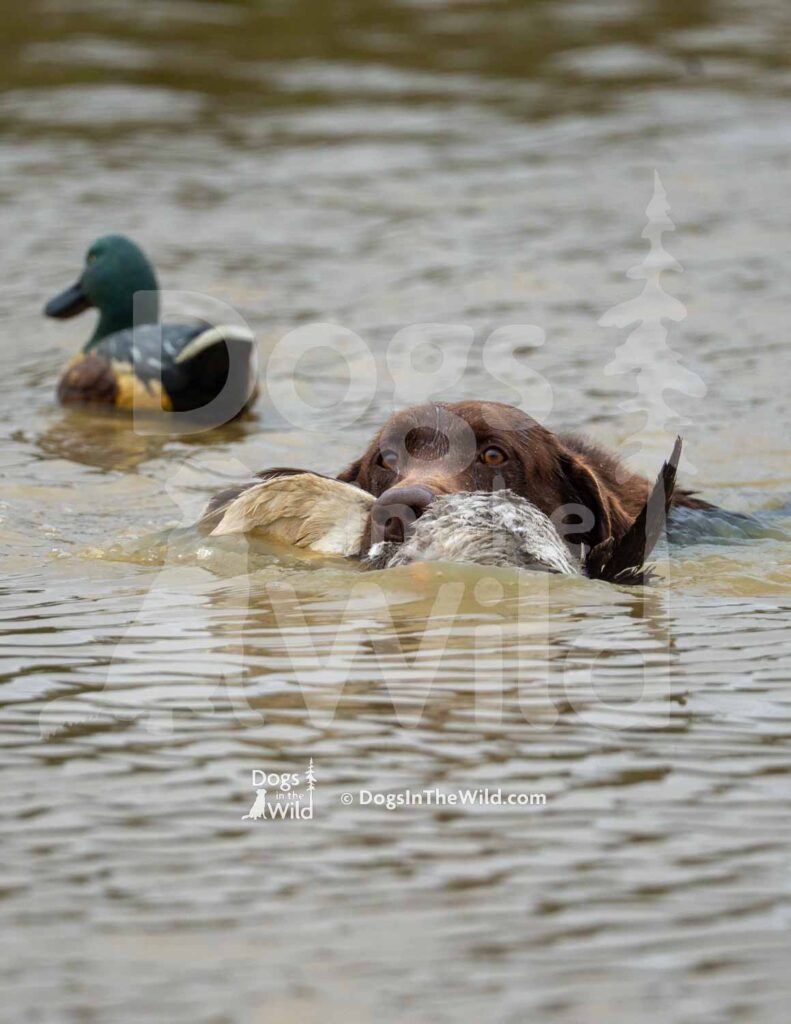 M29-3-28-26 5 – Echo