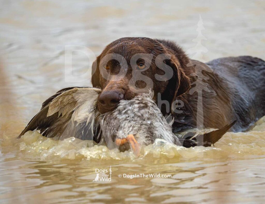 M29-3-28-26 6 – Echo