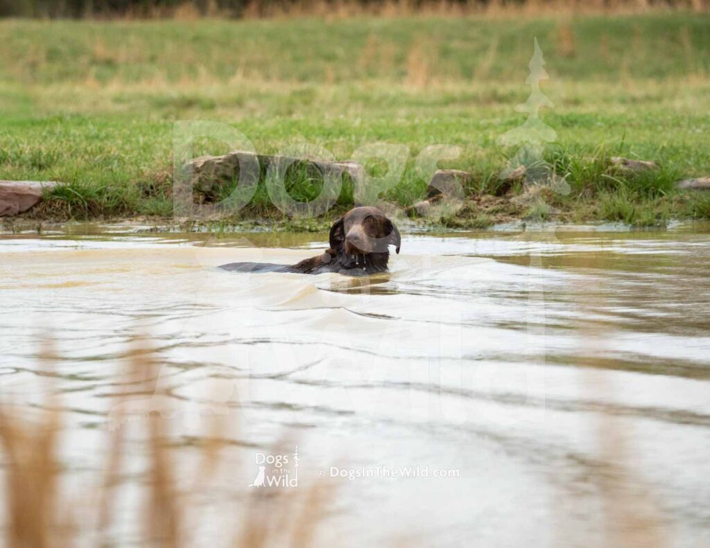 M29-3-28-26 7 – Echo