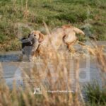 M31-3-28-26 5 – Ethel