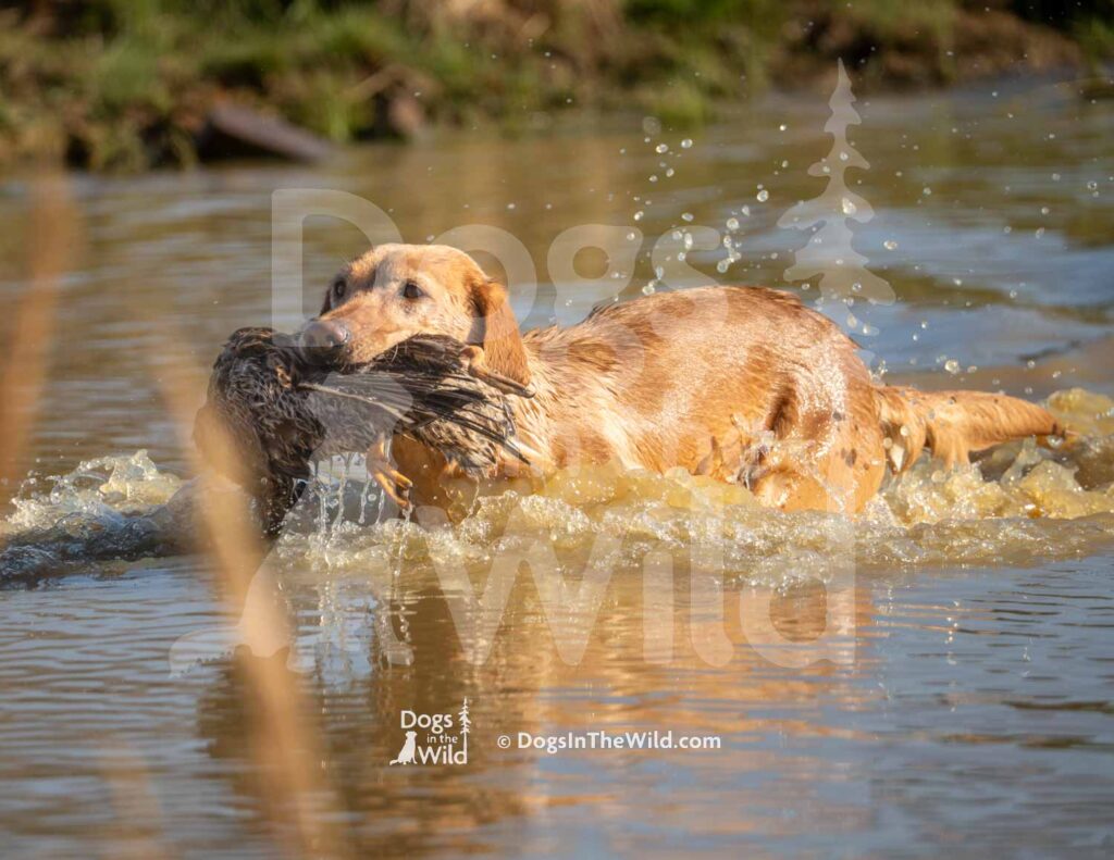 M31-3-28-26 6 – Ethel