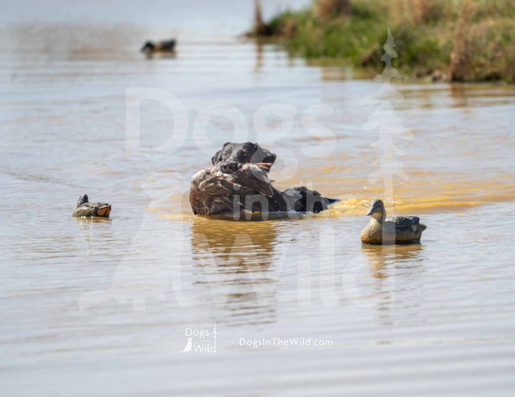 M32-3-28-26 4 – Thor