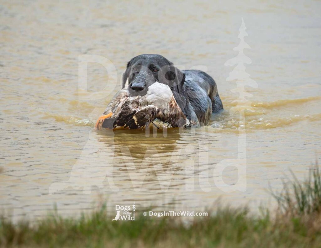 M32-3-28-26 11 – Thor