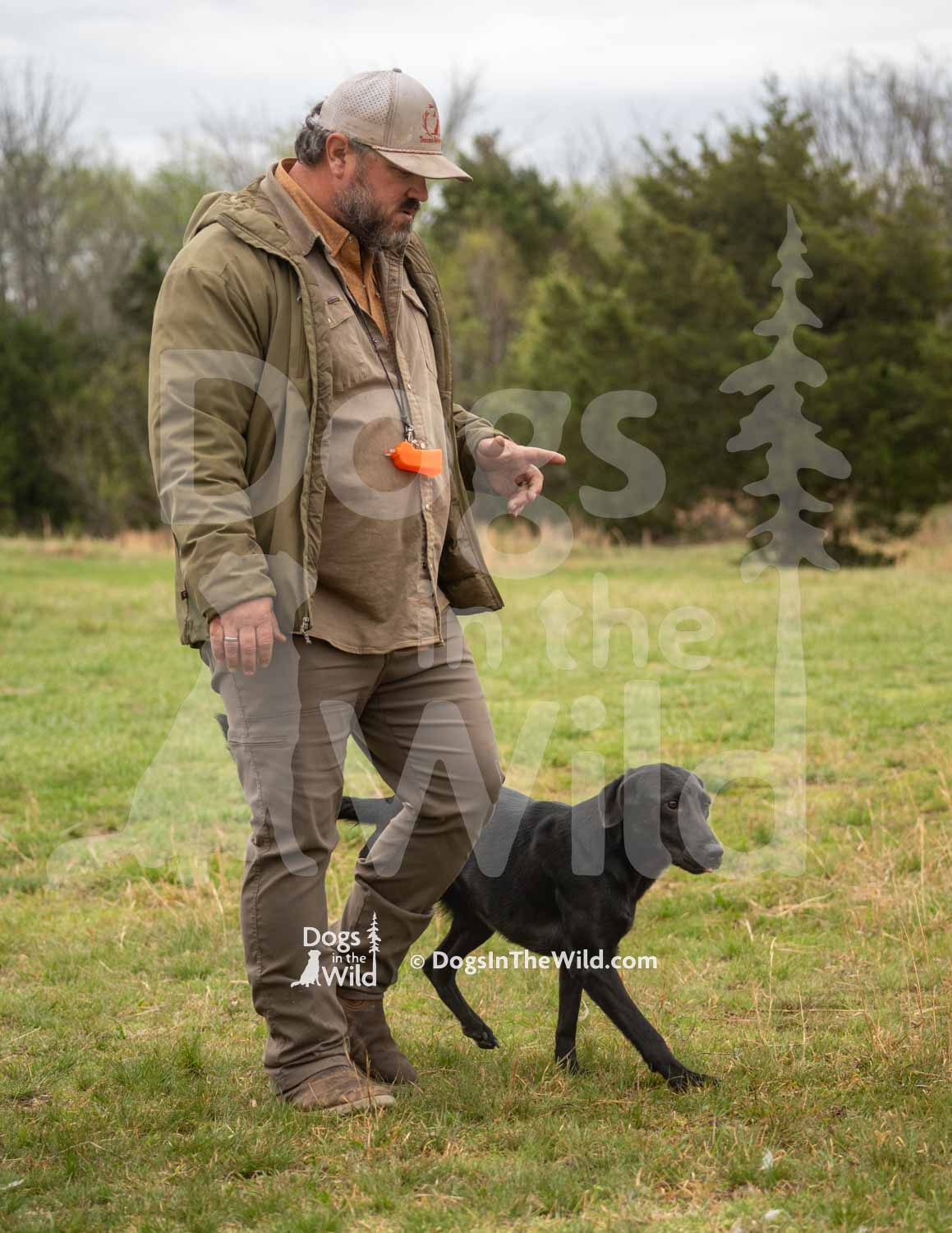 33 – HRCH Caddo Creek Lucky Ava Laine