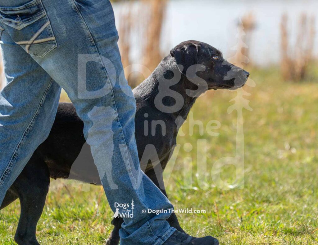 M34-3-28-26 1 – Ellie