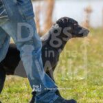 M34-3-28-26 1 – Ellie