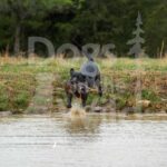 M34-3-28-26 3 – Ellie
