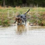 M34-3-28-26 4 – Ellie