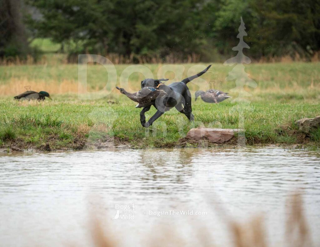 M34-3-28-26 6 – Ellie