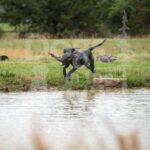 M34-3-28-26 6 – Ellie