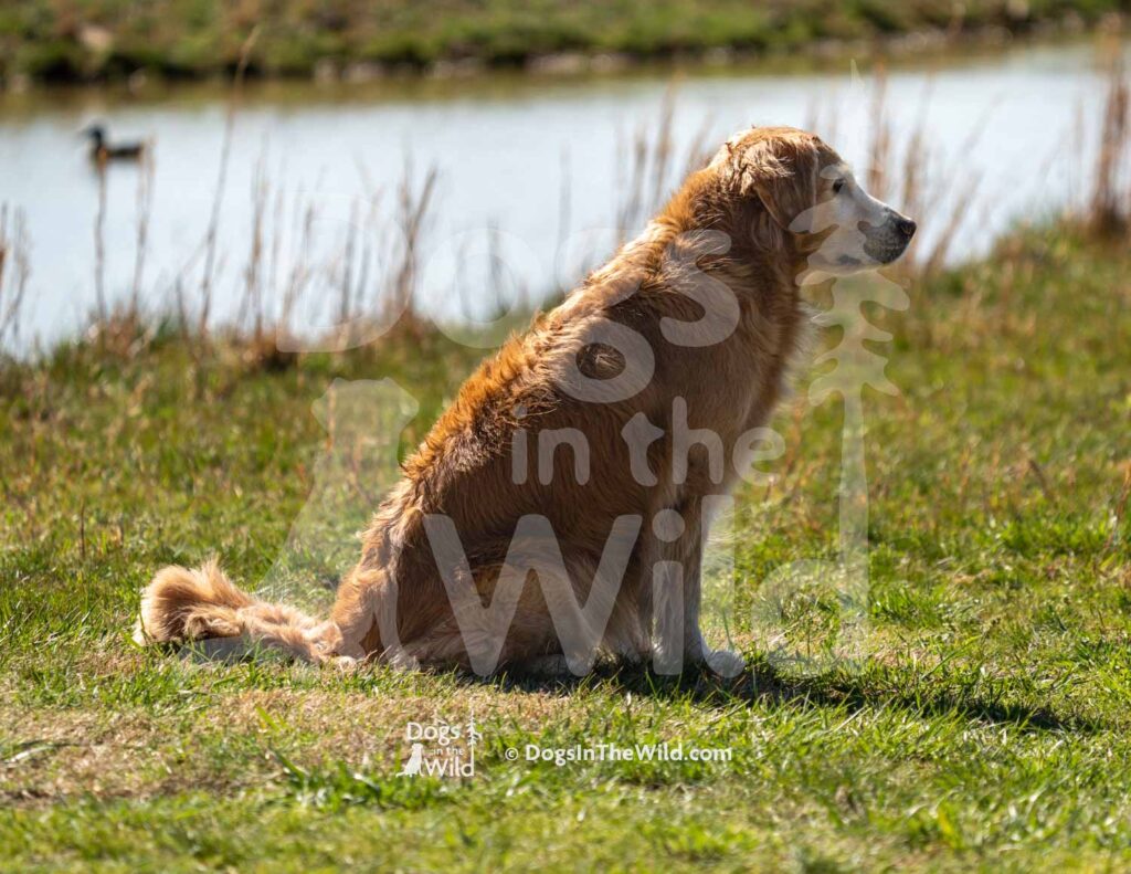 M35-3-28-26 2 – Friday