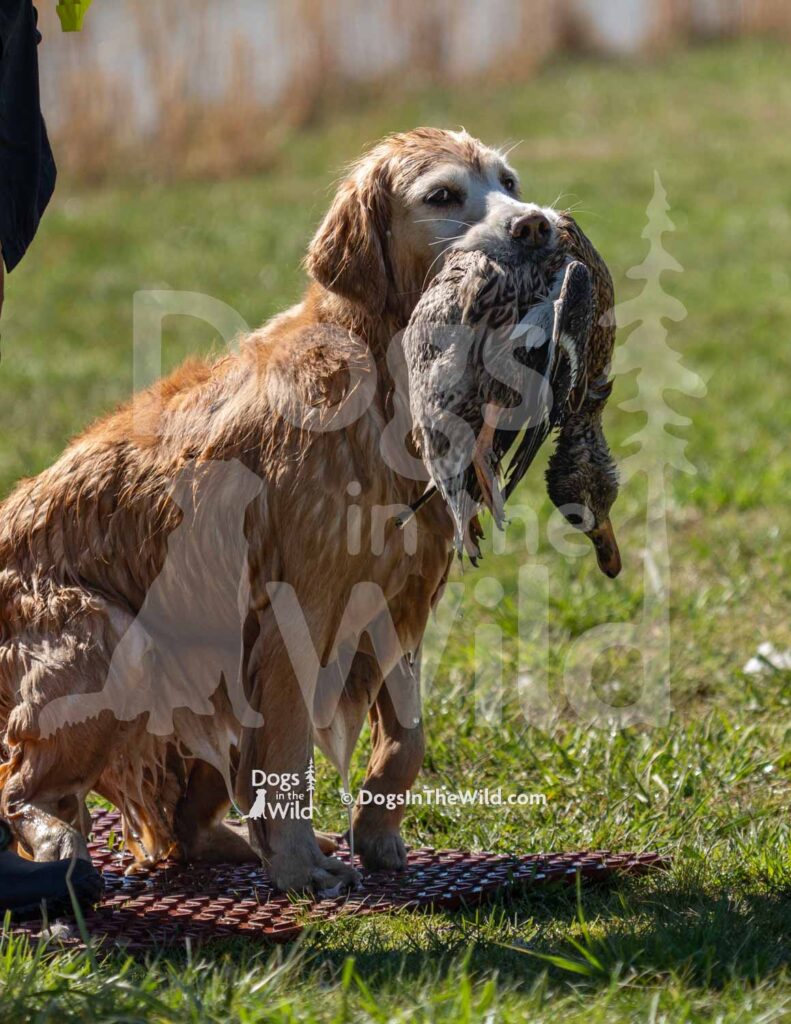 M35-3-28-26 6 – Friday