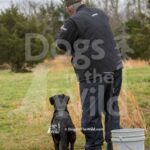 M40-3-28-26 1 – Lilah