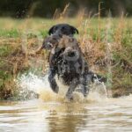 M40-3-28-26 2 – Lilah