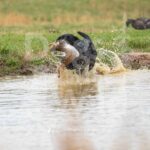 M40-3-28-26 5 – Lilah