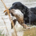 M40-3-28-26 7 – Lilah