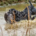 M45-3-28-26 6 – Lucie