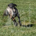 M46-3-28-26 2 – Peaches