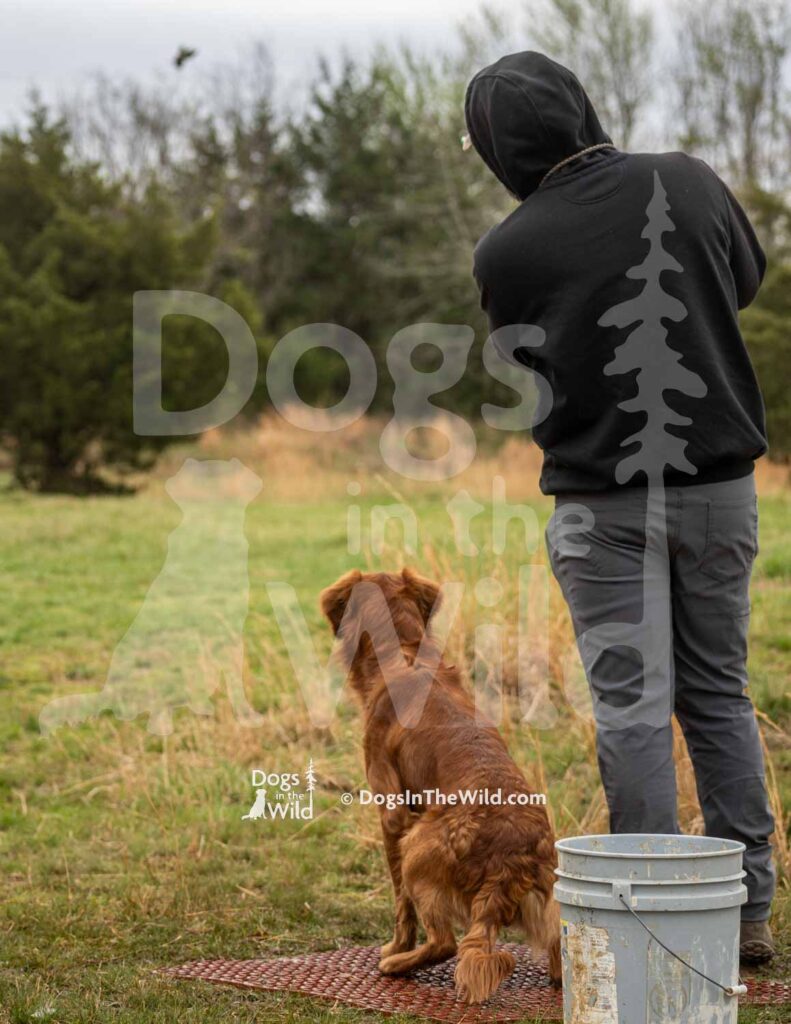 M49-3-28-26 6 – Ralph