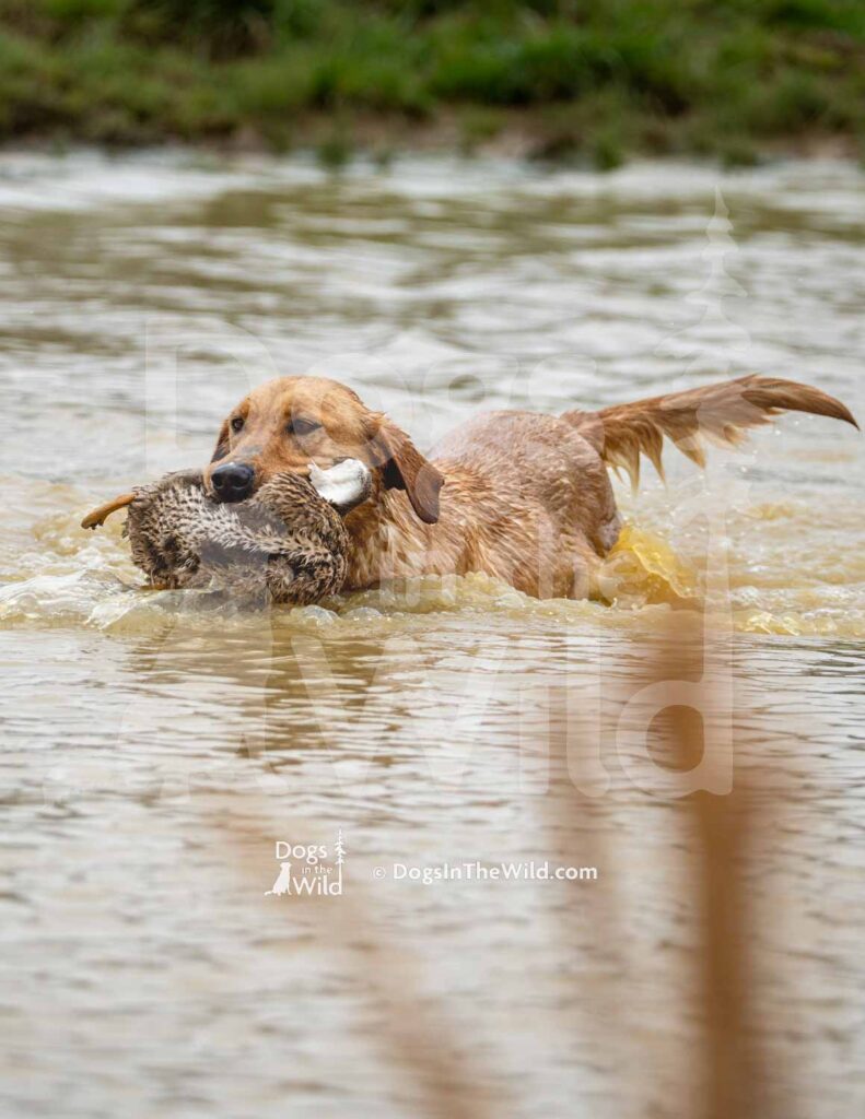 M50-3-28-26 7 – Hoka