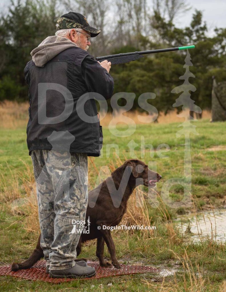 M52-3-28-26 6 – June