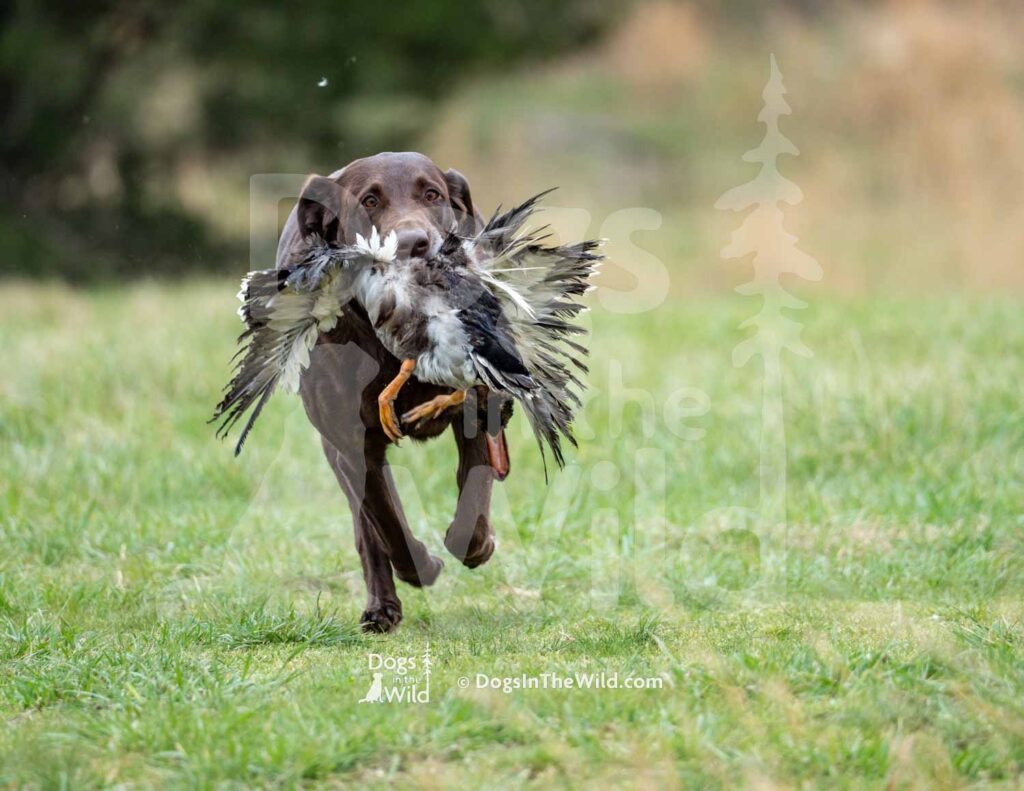 M52-3-28-26 7 – June