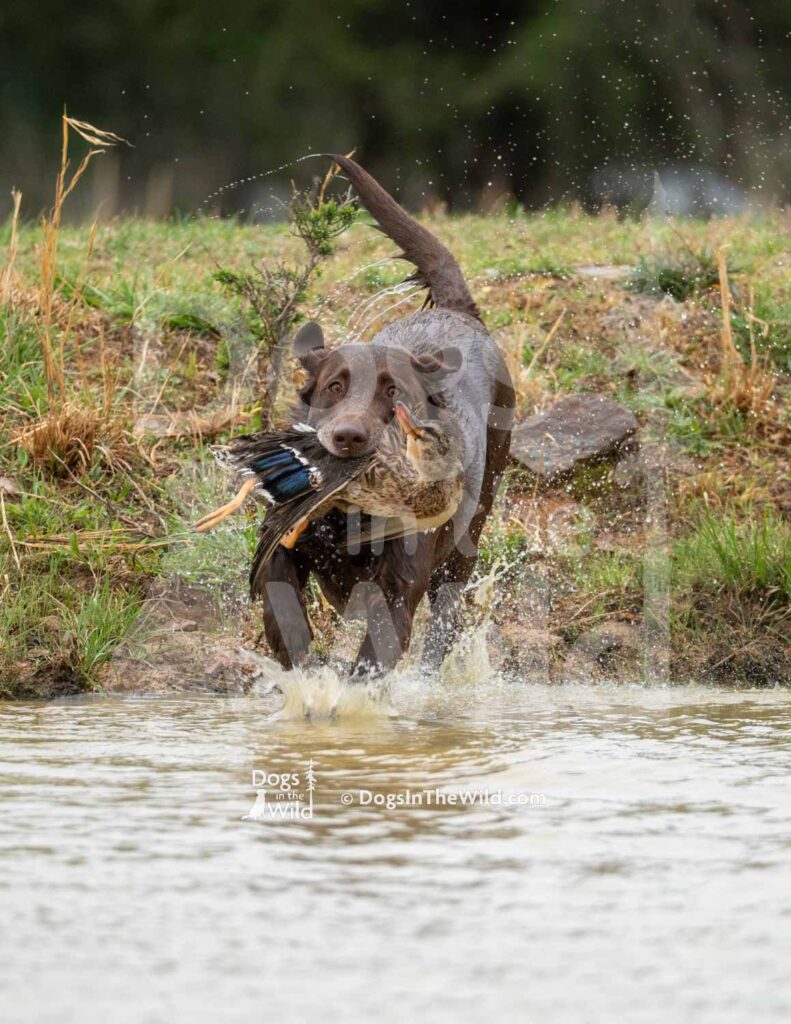 M52-3-28-26 8 – June