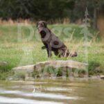 M52-3-28-26 11 – June