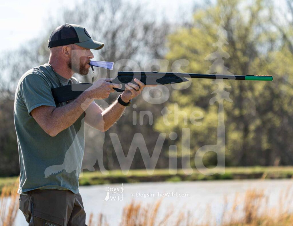 Black Lab - HR MBG Tallgrass Buck - M53 3-28-26 - Ozark Hunting Retriever Assoc