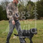 M53 3-28-26 4 – Buck