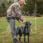 M53 3-28-26 11 – Buck