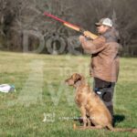 Senior Test Dog 1
