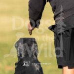 S10-3-28-26 2 – Creed
