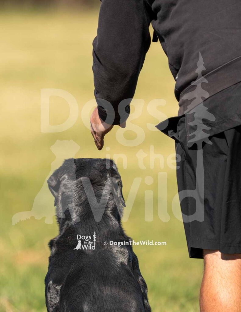 S10-3-28-26 2 – Creed