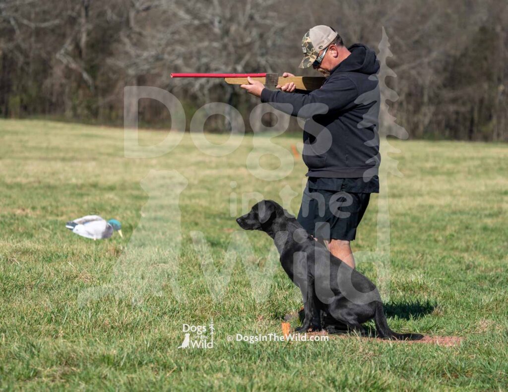 S11-3-28-26 1 – Terry