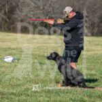 S11-3-28-26 1 – Terry
