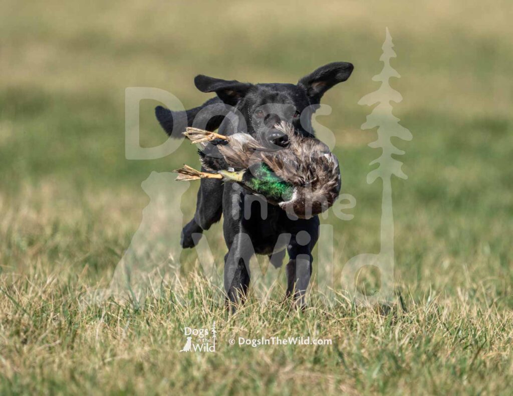 S11-3-28-26 2 – Terry