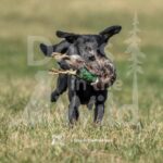 S11-3-28-26 2 – Terry