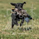 S11-3-28-26 3 – Terry