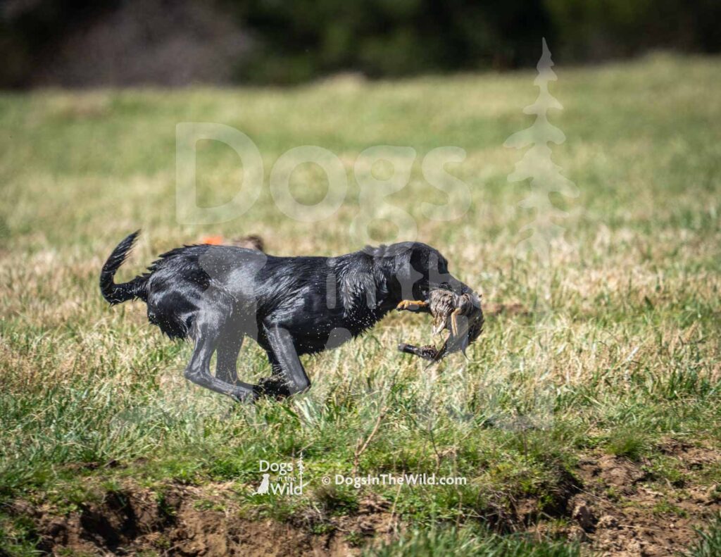 S11-3-28-26 6 – Terry