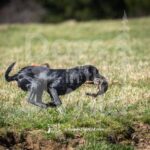 S11-3-28-26 6 – Terry